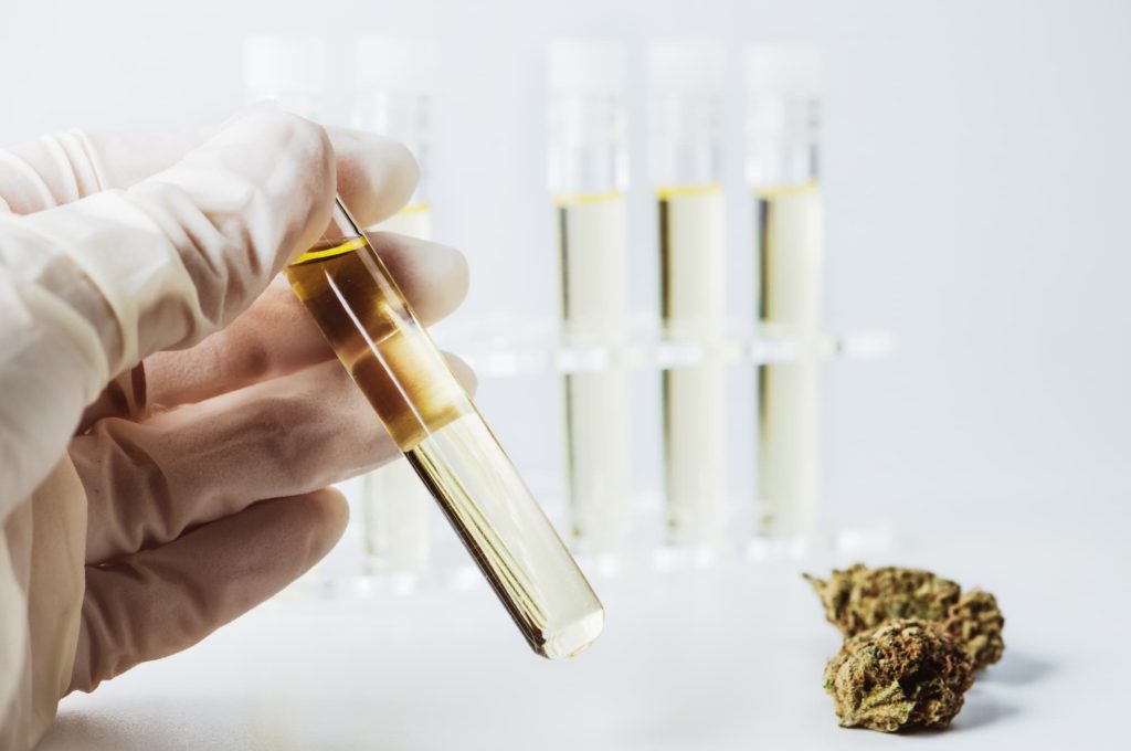 Vials of pure cannabis extract from Nordic Analytical Laboratories and a cannabis flower. 