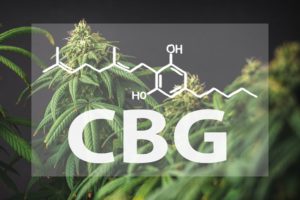 CBG Cannabinoid | Nordic Analytical Laboratories