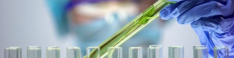 Marijuana Pesticide Testing in Colorado | Nordic Analytical Laboratories